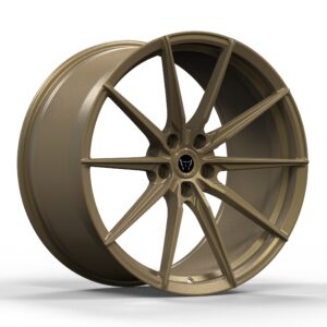 DD-F017 Custom Forged Wheel | 15–26 Inch | OEM/ODM Available