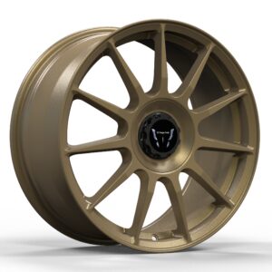 DD-F021 Custom Forged Wheel | 15–26 Inch | OEM/ODM Available